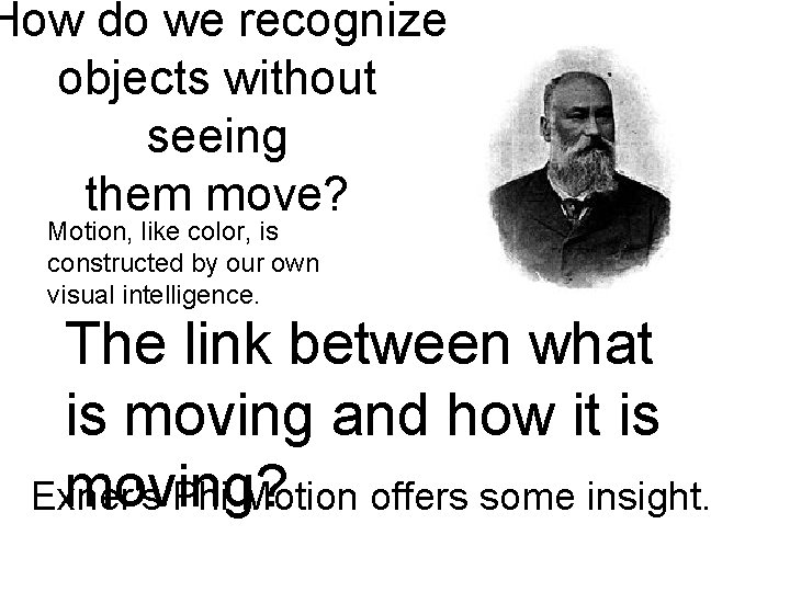 How do we recognize objects without seeing them move? Motion, like color, is constructed