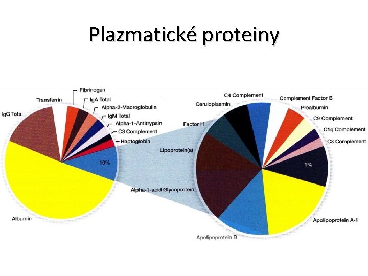 Plazmatické proteiny 