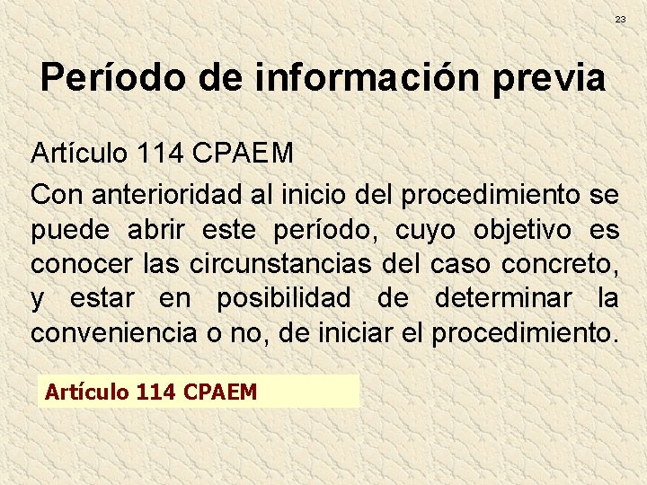 23 Período de información previa Artículo 114 CPAEM Con anterioridad al inicio del procedimiento 23 Período de información previa Artículo 114 CPAEM Con anterioridad al inicio del procedimiento