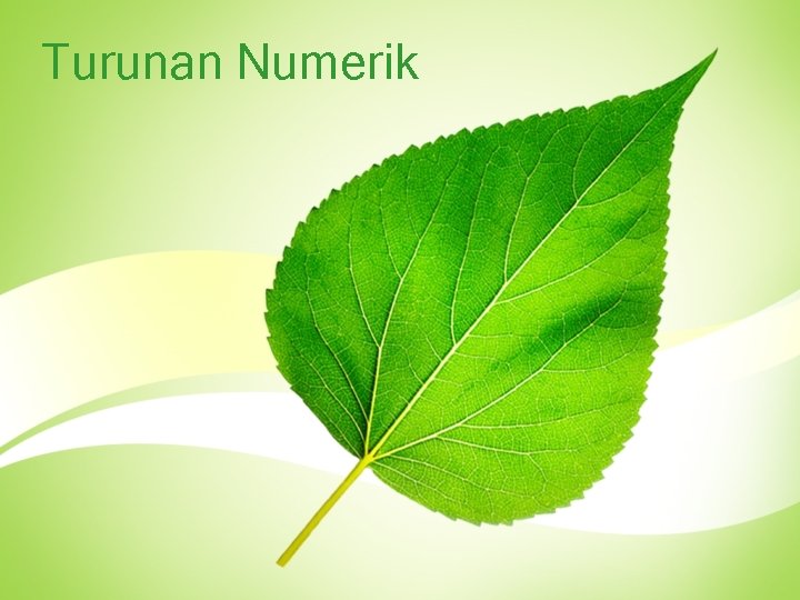 Turunan Numerik 