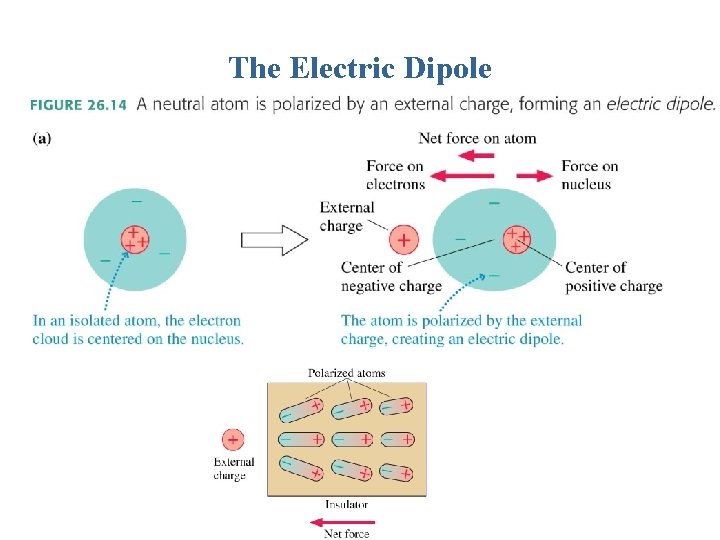 The Electric Dipole 