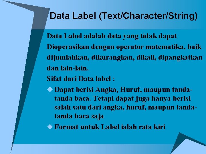 Data Label (Text/Character/String) Data Label adalah data yang tidak dapat Dioperasikan dengan operator matematika,