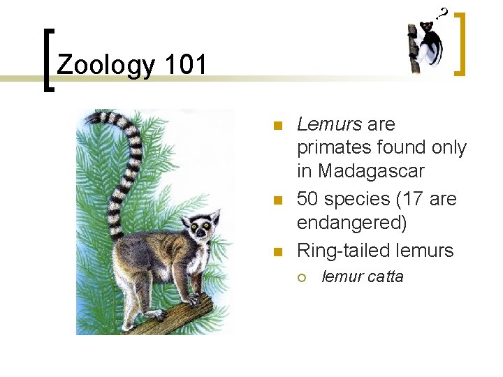 ? Zoology 101 n n n Lemurs are primates found only in Madagascar 50