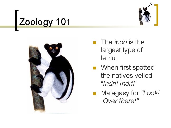 ? Zoology 101 n n n The indri is the largest type of lemur