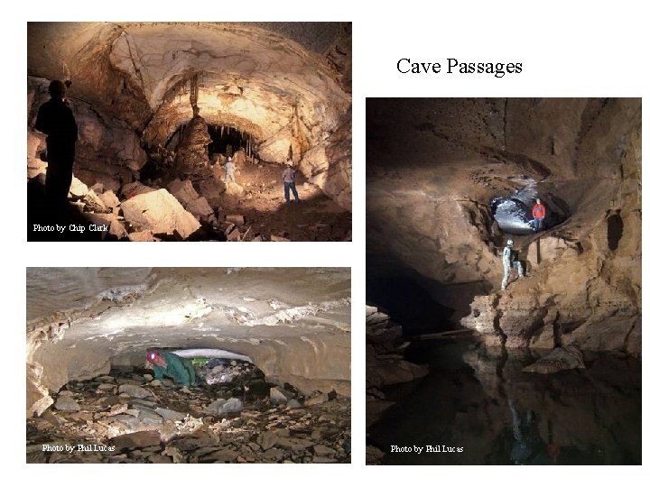 Cave Passages Photo by Chip Clark Photo by Phil Lucas 