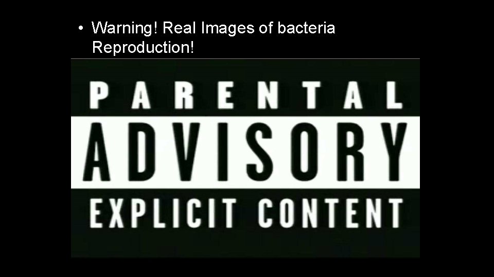  • Warning! Real Images of bacteria Reproduction! 