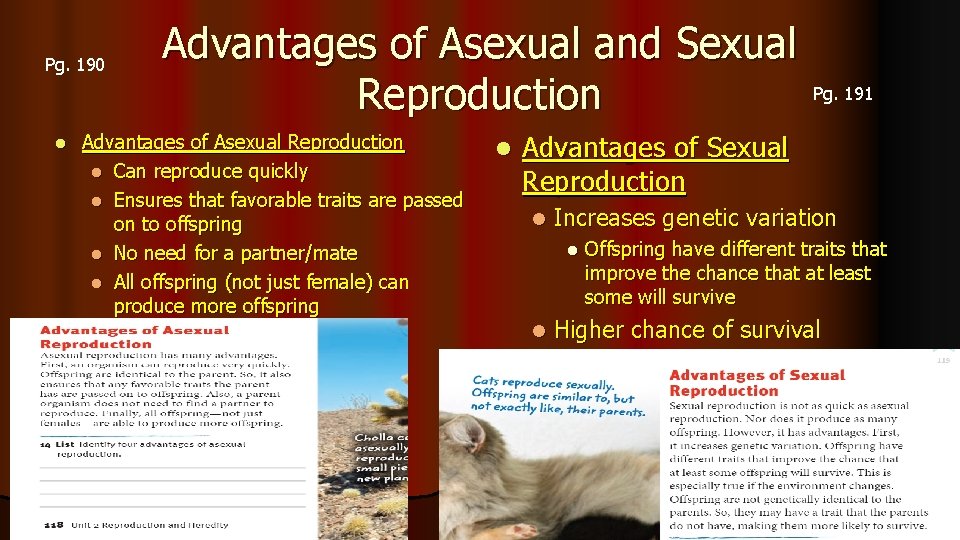 Pg. 190 l Advantages of Asexual and Sexual Reproduction Advantages of Asexual Reproduction l