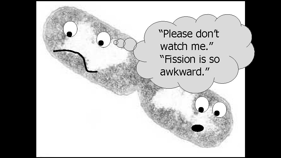 “Please don’t watch me. ” “Fission is so awkward. ” 