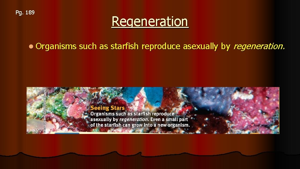 Pg. 189 l Organisms Regeneration such as starfish reproduce asexually by regeneration. 