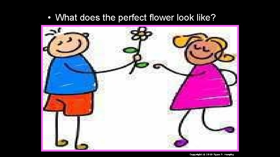  • What does the perfect flower look like? Copyright © 2010 Ryan P.