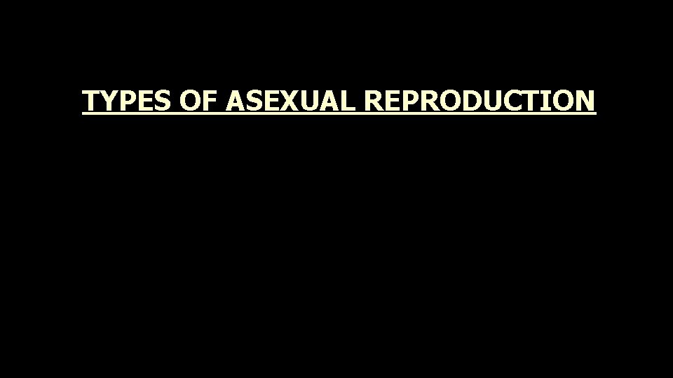 TYPES OF ASEXUAL REPRODUCTION 
