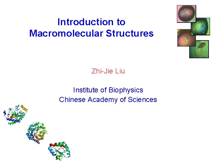 Introduction to Macromolecular Structures Zhi-Jie Liu Institute of Biophysics Chinese Academy of Sciences 　　　　　