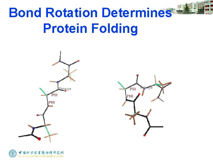 Bond Rotation Determines Protein Folding 