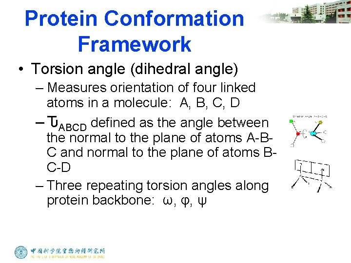 Protein Conformation Framework • Torsion angle (dihedral angle) – Measures orientation of four linked