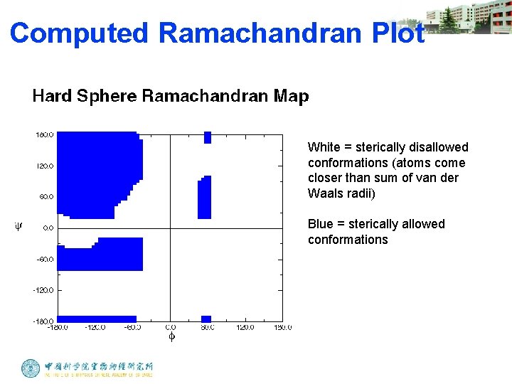 Computed Ramachandran Plot White = sterically disallowed conformations (atoms come closer than sum of