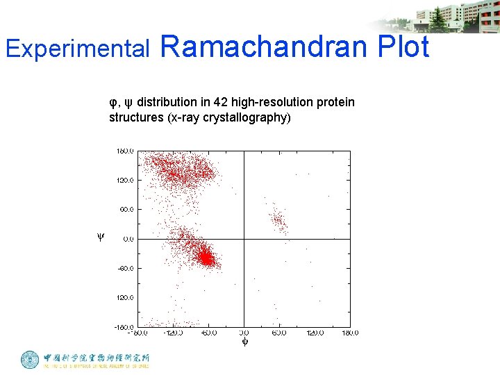 Experimental Ramachandran Plot φ, ψ distribution in 42 high-resolution protein structures (x-ray crystallography) 