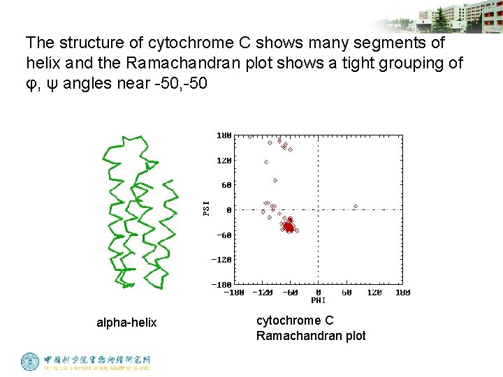 The structure of cytochrome C shows many segments of helix and the Ramachandran plot