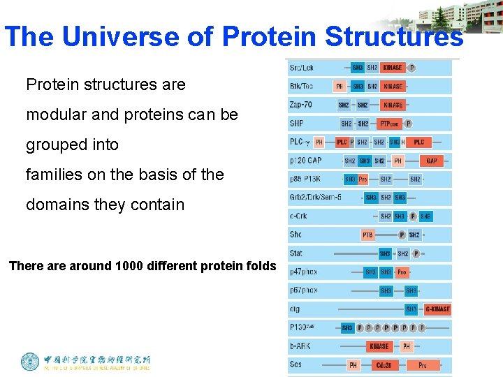 The Universe of Protein Structures Protein structures are modular and proteins can be grouped