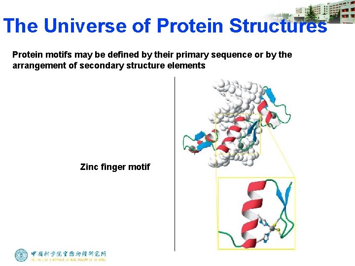 The Universe of Protein Structures Protein motifs may be defined by their primary sequence