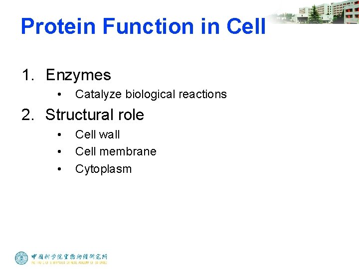 Protein Function in Cell 1. Enzymes • Catalyze biological reactions 2. Structural role •