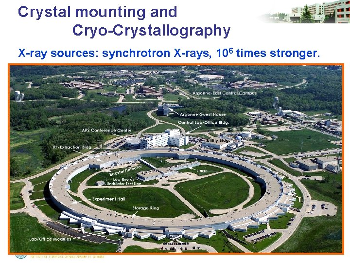 Crystal mounting and Cryo-Crystallography X-ray sources: synchrotron X-rays, 106 times stronger. 