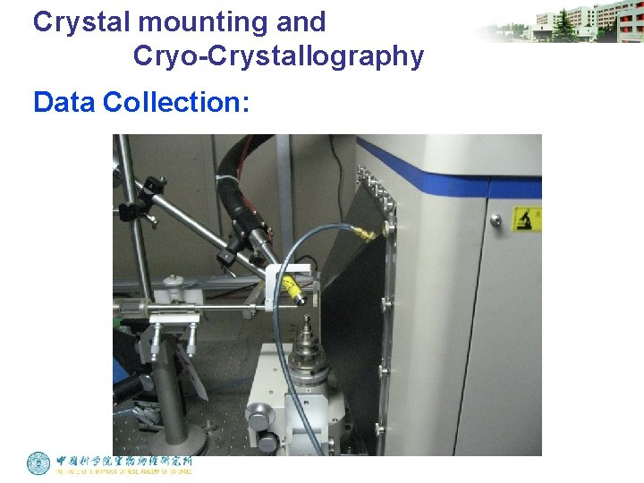 Crystal mounting and Cryo-Crystallography Data Collection: 