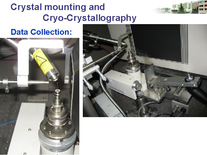 Crystal mounting and Cryo-Crystallography Data Collection: 