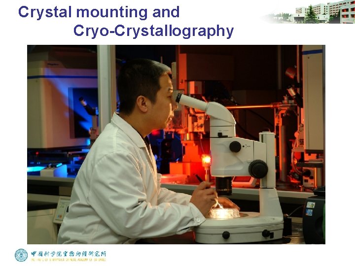 Crystal mounting and Cryo-Crystallography 