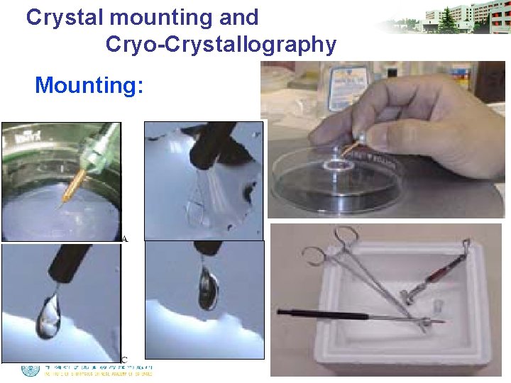 Crystal mounting and Cryo-Crystallography Mounting: 