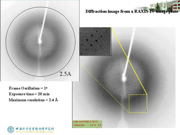 Diffraction image from a RAXIS-IV image plate 2. 5 A Frame Oscillation = 1