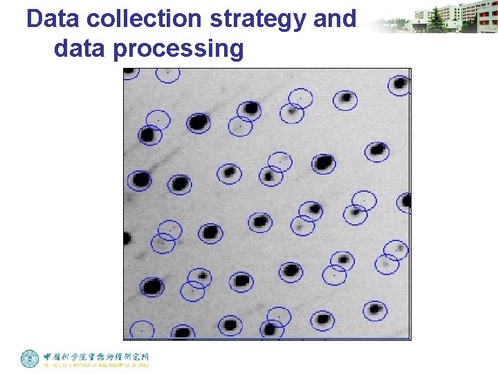 Data collection strategy and data processing 