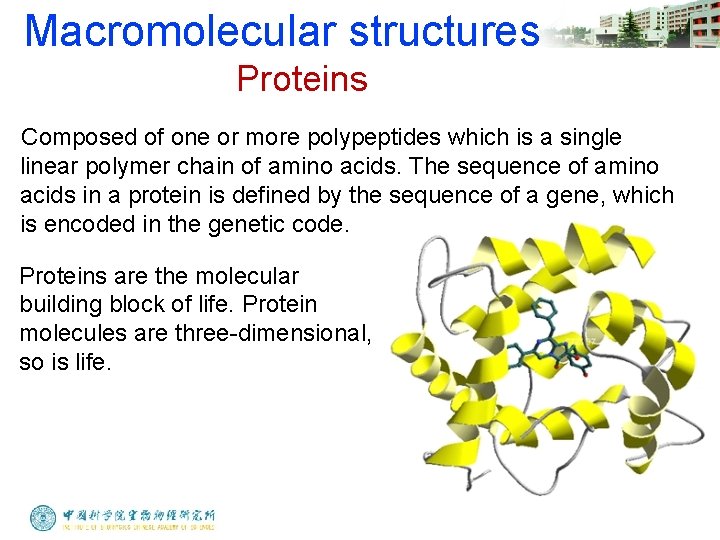 Macromolecular structures Proteins Composed of one or more polypeptides which is a single linear