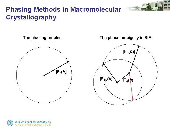 Phasing Methods in Macromolecular Crystallography The phasing problem The phase ambiguity in SIR |FP(h)|