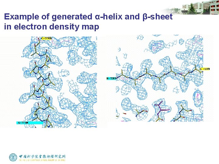 Example of generated α-helix and β-sheet in electron density map 