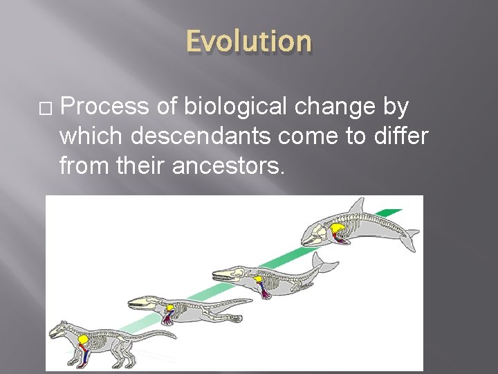 Evolution � Process of biological change by which descendants come to differ from their