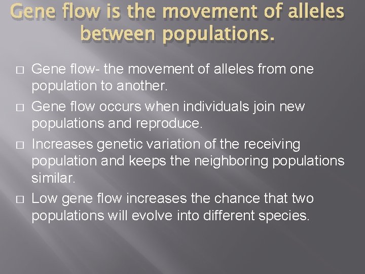 Gene flow is the movement of alleles between populations. � � Gene flow- the