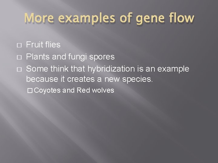 More examples of gene flow � � � Fruit flies Plants and fungi spores