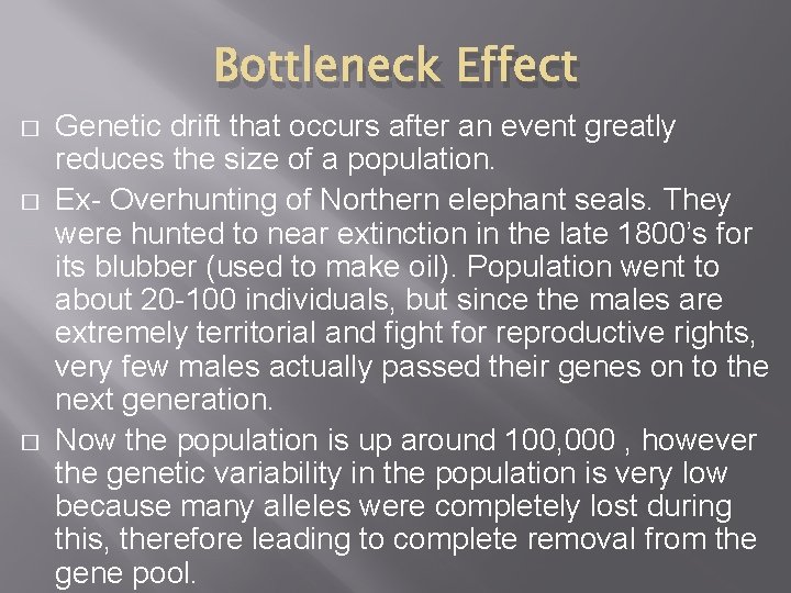 Bottleneck Effect � � � Genetic drift that occurs after an event greatly reduces
