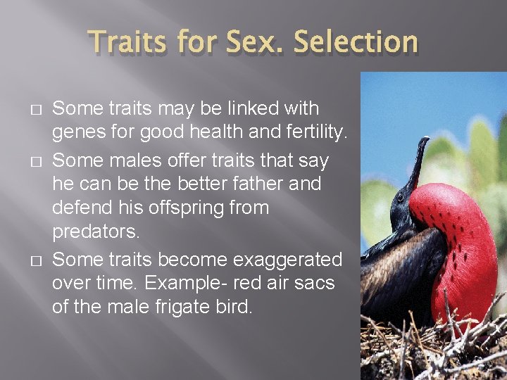 Traits for Sex. Selection � � � Some traits may be linked with genes