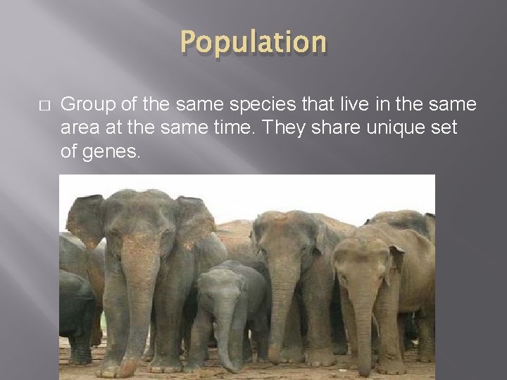 Population � Group of the same species that live in the same area at