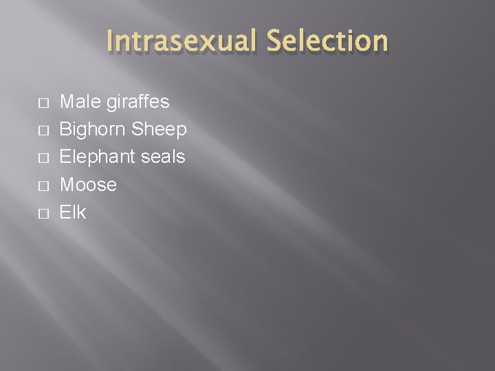 Intrasexual Selection � � � Male giraffes Bighorn Sheep Elephant seals Moose Elk 
