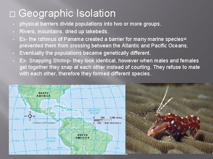 � Geographic Isolation - physical barriers divide populations into two or more groups. -