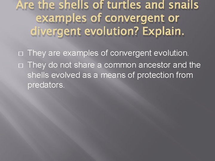 Are the shells of turtles and snails examples of convergent or divergent evolution? Explain.