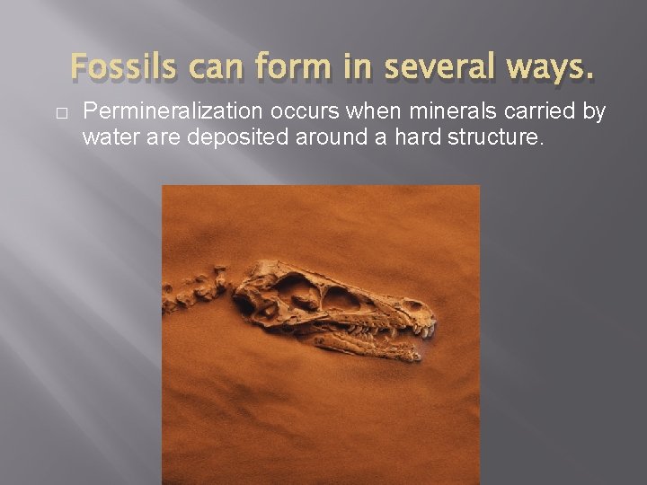 Fossils can form in several ways. � Permineralization occurs when minerals carried by water