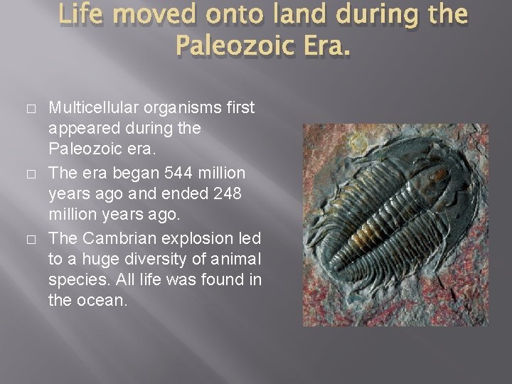 Life moved onto land during the Paleozoic Era. � � � Multicellular organisms first