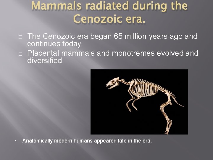 Mammals radiated during the Cenozoic era. � � • The Cenozoic era began 65