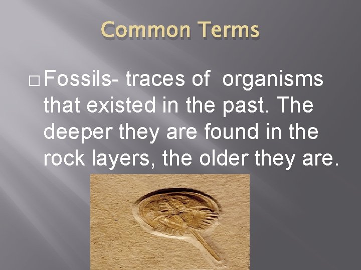 Common Terms � Fossils- traces of organisms that existed in the past. The deeper