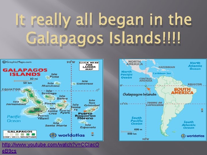 It really all began in the Galapagos Islands!!!! http: //www. youtube. com/watch? v=CCIac. O