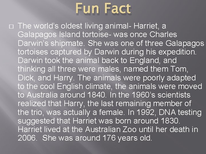 Fun Fact � The world’s oldest living animal- Harriet, a Galapagos Island tortoise- was