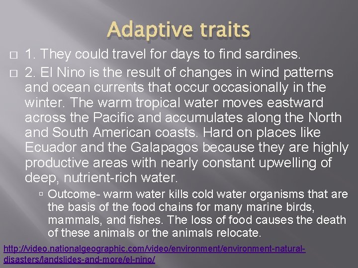 Adaptive traits � � 1. They could travel for days to find sardines. 2.